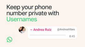 WhatsApp is adding usernames to let people chat without sharing their phone numbers image