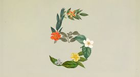 Anthropic releases Claude Sonnet 5 with better reasoning, coding, and agentic performance image