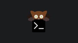 Kitty 0.48 adds vertical tabs, improved graphics protocol, better peformance, and more image