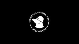 Mullvad shuts down its public encrypted DNS service and puts its weight behind Quad9 image