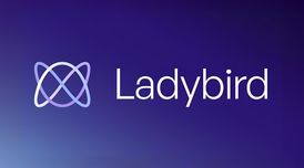 Ladybird web browser gains video playback, JS debugging, and downloads that pause & resume image