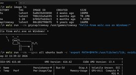 Microsoft makes WSLC generally available for running Linux containers on Windows image