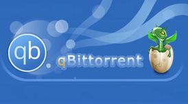 qBittorrent 5.3 brings better torrent management, improved web UI, and numerous bug fixes image
