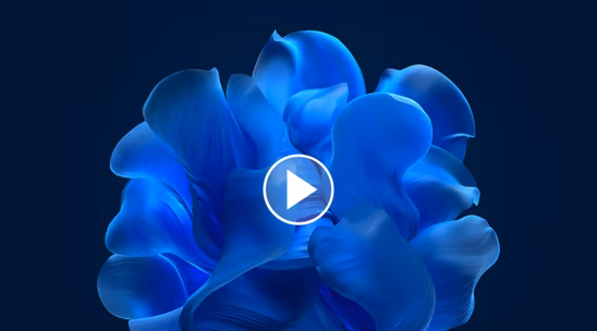 Windows 11 Insider builds add video wallpaper feature for animated desktops image