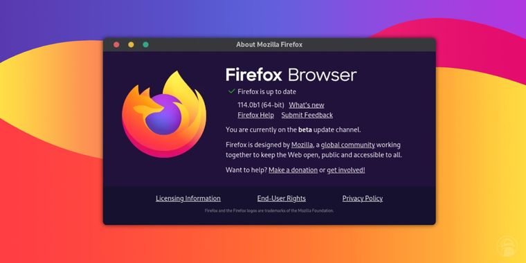 Firefox 114: Improved DNS-over-HTTPS support and WebTransport capability