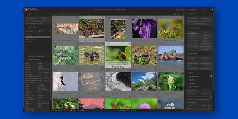 Darktable 4.4 released with white balance presets and noise profiles for more cameras