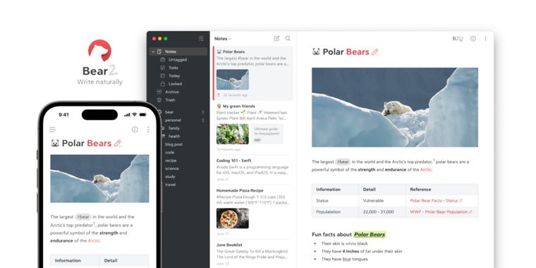 Bear 2 is just around the corner: A couple of things to keep in mind!