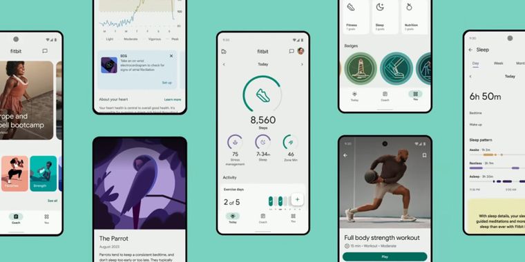 Fitbit introduces AI features for personalized coaching and in-depth fitness insights