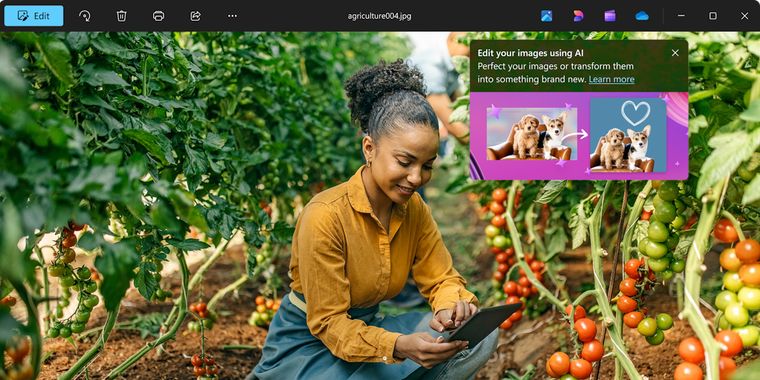Microsoft Photos integrates AI-powered Designer for enhanced photo editing on Windows 11