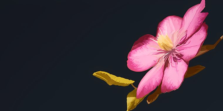 OpenMandriva ROME 24.07 released with KDE Plasma 6.1, based on the Linux Kernel 6.10