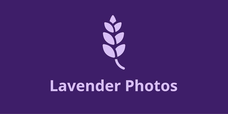 Introducing Lavender Photos v1.0.0: new interface, video editor & AVIF support
