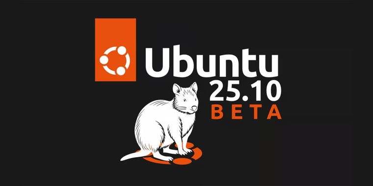 Ubuntu 25.10 Beta launches with Linux 6.17, GNOME 49, Wayland-only session