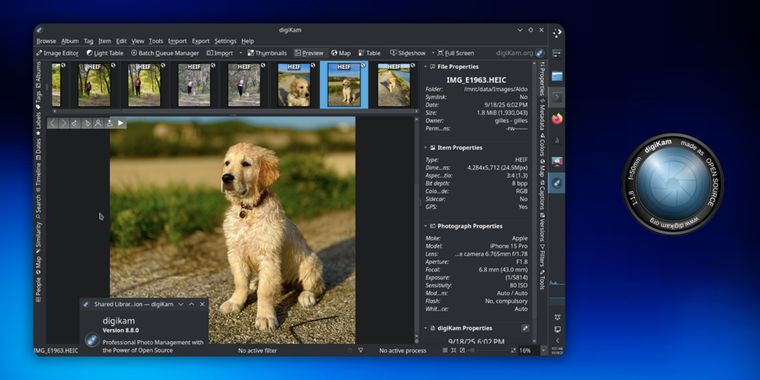 digiKam 8.8 adds hierarchical tag import, focus point preview, and new blur tool