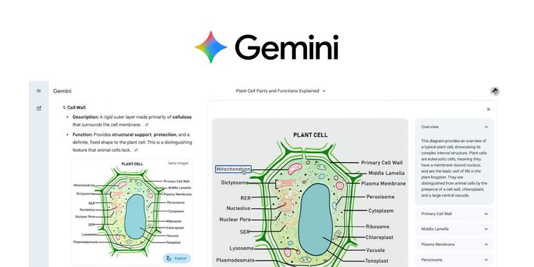 Google adds support for interactive images in Gemini for deeper visual learning
