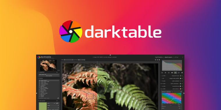 darktable 5.6 brings optional AI, neural restore, AI object mask tool, and HEIF export