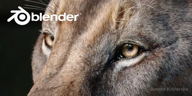Blender 5.2 LTS brings node-based physics, online asset libraries, and new fill algorithm