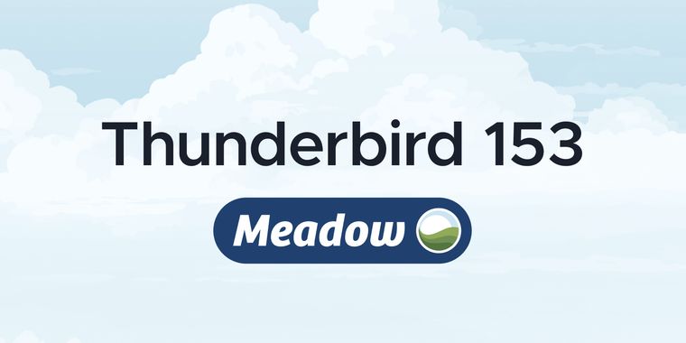 Thunderbird 153 “Meadow” launches with smoother setup, Thundermail integration, and more
