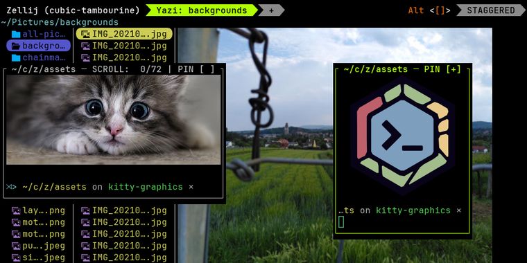 Zellij 0.45 adds nested session handling, Kitty graphics protocol, mobile web UI, and more