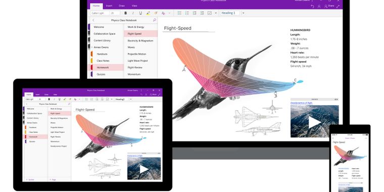 Microsoft Office version of OneNote being phased out