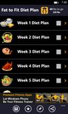 12 Weeks Plan