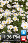 Photoframe Mode