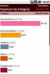 Expenses by category