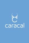 Caracal Diagnosis screenshot 1