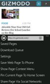 Offline Browser screenshot 2