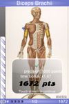 Speed Anatomy screenshot 2