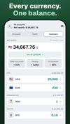 Accounts summary grouping every holding by type, fiat, commodities and crypto, all converted into one home currency, with debt-to-income, savings runway and currency exposure as headline indicators.