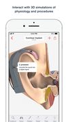 3D Human Anatomy &amp; Disease screenshot 3
