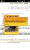 use of javascripts in epub