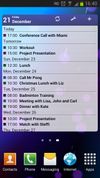 Business Calendar screenshot 1