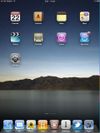 Infinidock for iOS screenshot 2