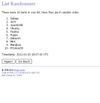 List Randomizer - Result