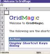 GridMagic (MiniExcel) screenshot 2