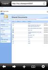 F5 Networks BIG-IP Edge Portal screenshot 3