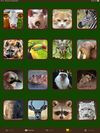 Animal Sounds screenshot 3