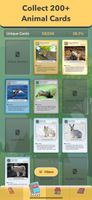 Card Collection