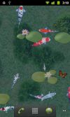 aniPet Koi Live Wallpaper screenshot 2
