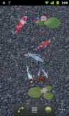 aniPet Koi Live Wallpaper screenshot 1