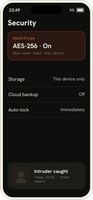 Vault security settings: AES-256 encryption, device-only storage, and intruder capture.