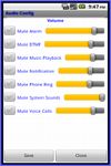 Audio Config screenshot 3