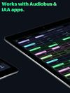 AudioKit L7 Looper screenshot 2
