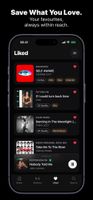 Audiophile.fm screenshot 3