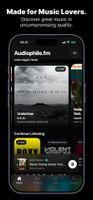 Audiophile.fm screenshot 1