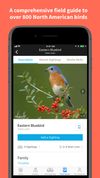 Audubon Bird Guide screenshot 2