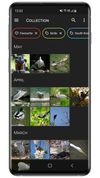 Aves screenshot 1