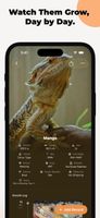 Beardie Days screenshot 3
