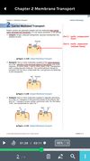 Becker USMLE GuideMD and QMD screenshot 2